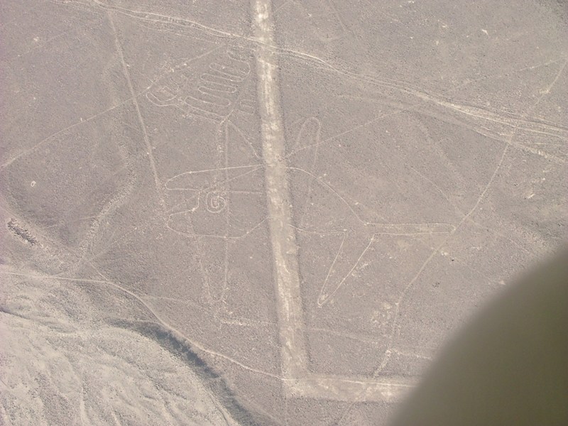 Linee di Nazca - Perù